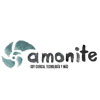Amonite